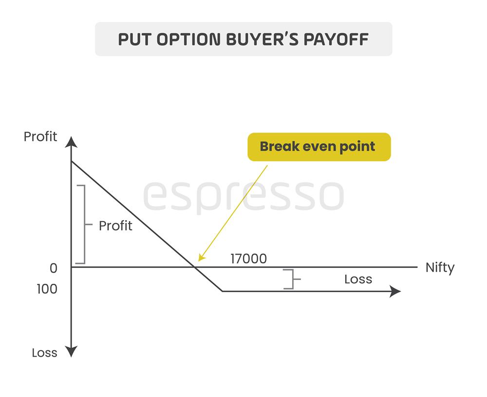 Put Payoff Diagram Bootcamp